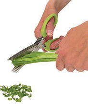 Stainless steel herb scissors